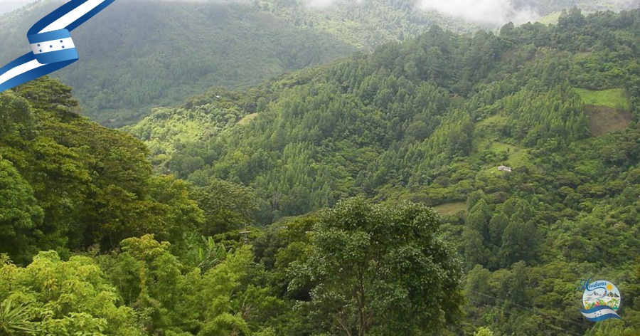 Cordillera Central en Honduras
