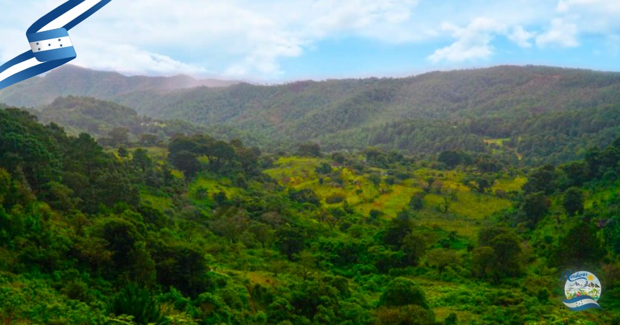 Reserva Biológica Guajiquiro