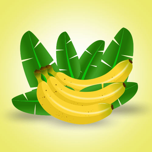 Vector gratis de bananos, mínimos o guineos