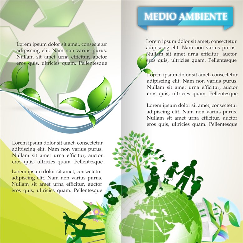 1 bifolio medio ambiente 1