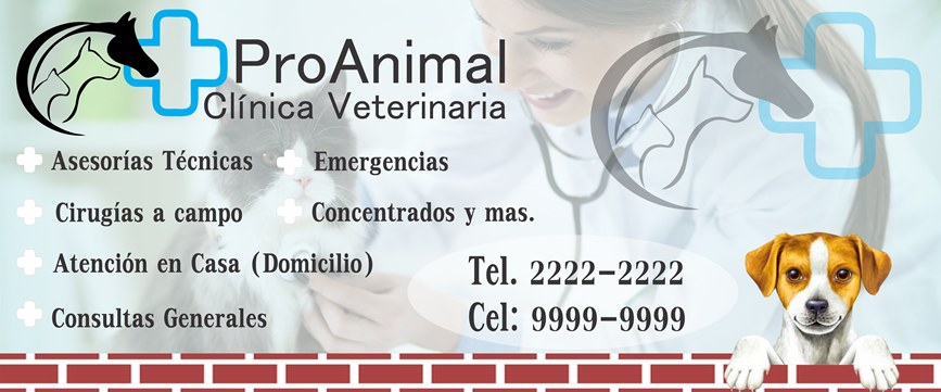 1 banner veterinaria 1