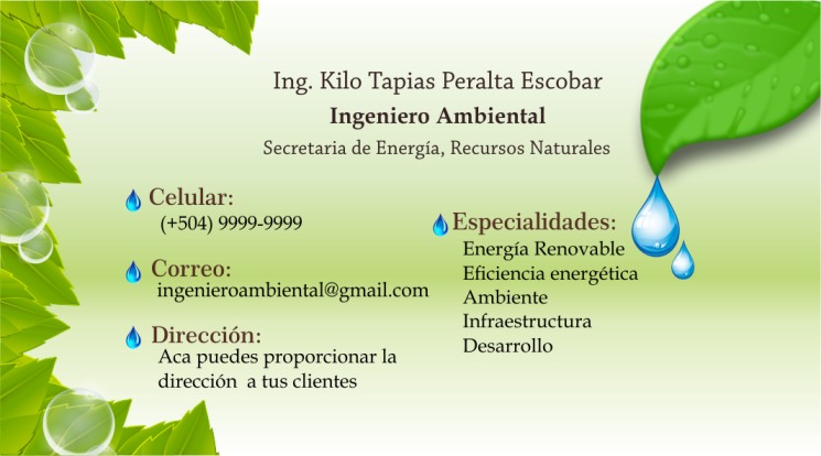 1 tarjetas presentacion ingeniero ambiental 8