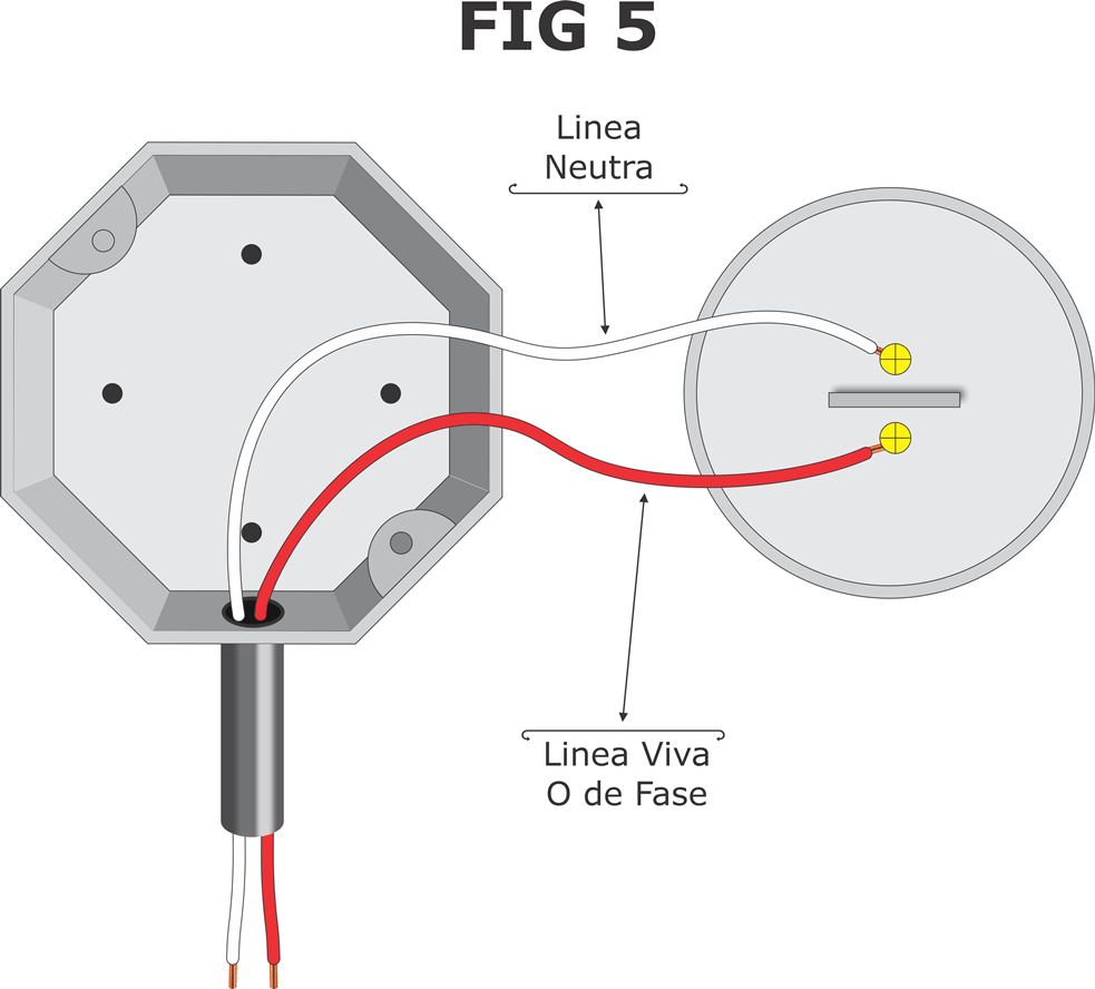 fig5 conexionderoseta 1