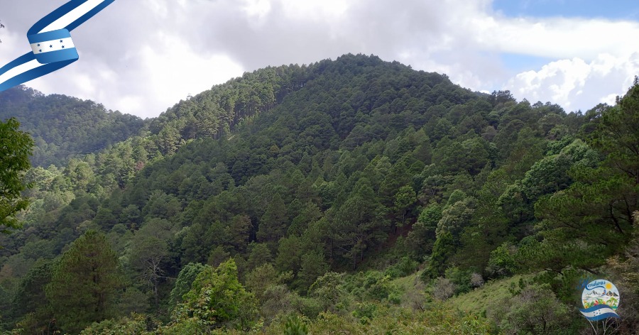 Reserva Biológica Volcán Pacayita