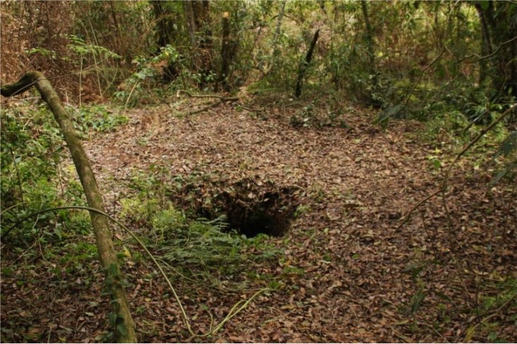 Cerro Hoyos Yamaranguila