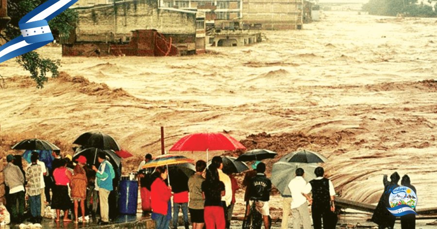 Como el cambio climatico esta afectando