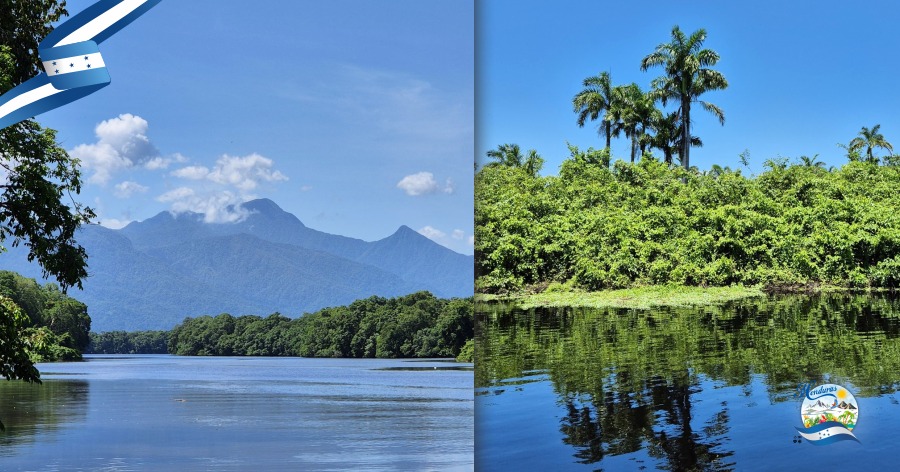 Descubre el Refugio de Vida Silvestre Cuero y Salado en La Ceiba