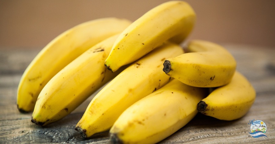 Banano, plátano o guineo 