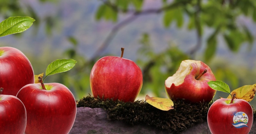 Propiedades, Beneficios y valor nutricional de la manzana 