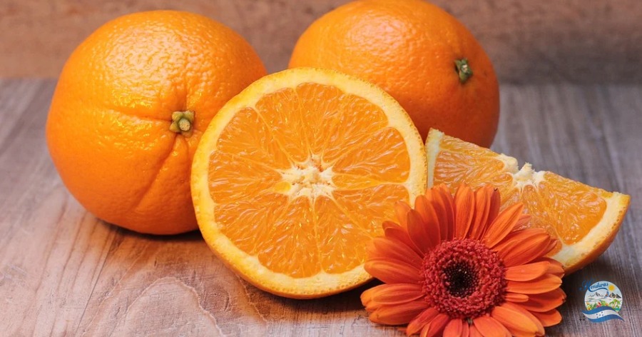 Naranja; propiedades y beneficios 